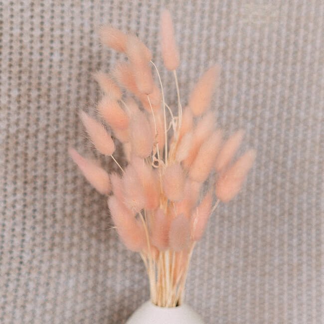 Bunny Tails Pink Delivery