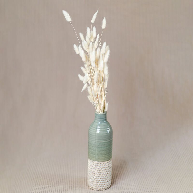 Bunny Tails White Pampas Grass
