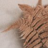 Cafe Latte Fern Flower Delivery