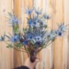 Eryngium Flower Delivery Canada