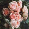 Light Pink Rose Spray Florist Supplies