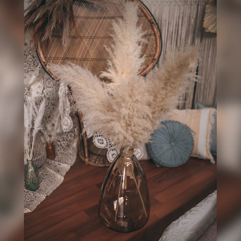 Mega Luxe Pampas Grass Flower Delivery Mega Luxe Pampas Grass Flower Delivery