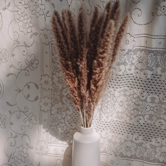 Natural Slender Pampas Grass Flower Delivery