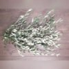 Olive Send Flowers Online