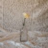 Pale Yellow Carnation Standard Flower Delivery