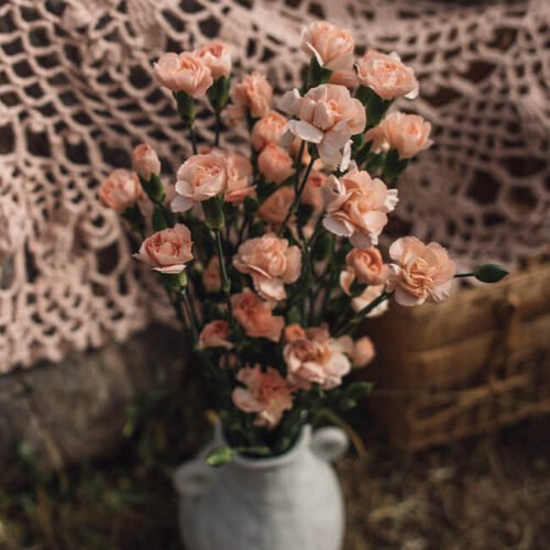 Peach Carnations Mini Flower Delivery