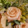 Peach Shimmer Roses Standard