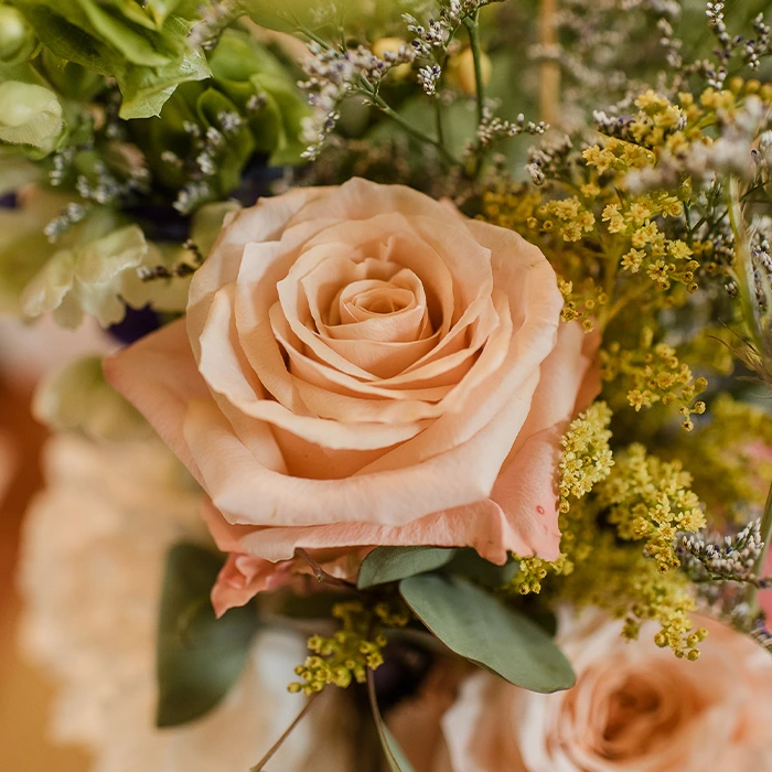 Peach Shimmer Roses Standard