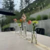 Peach Stock