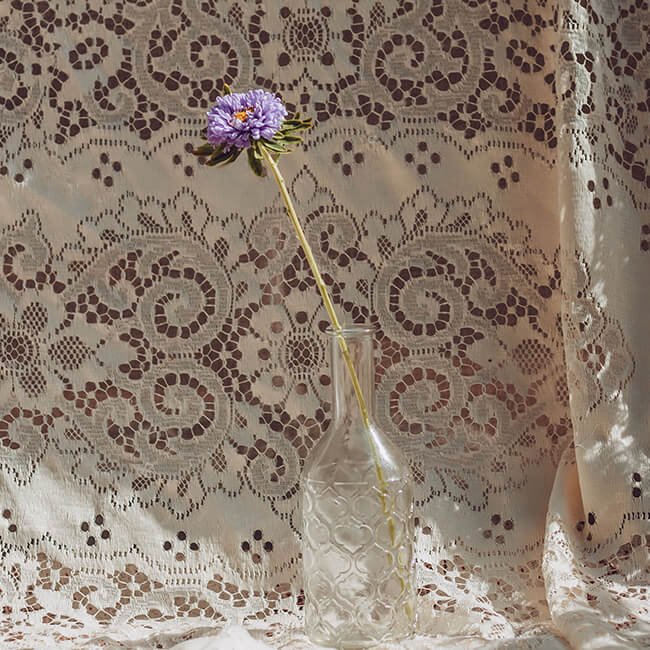 Purple Aster Matsumoto2 1