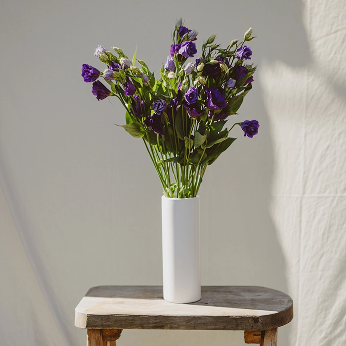 Purple Lisianthus