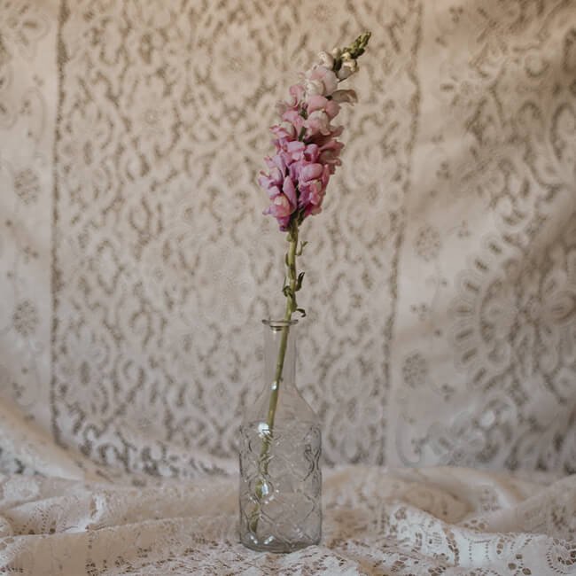 Purple Snapdragons Flower Delivery