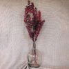 Ruscus_Burgundy.jpg