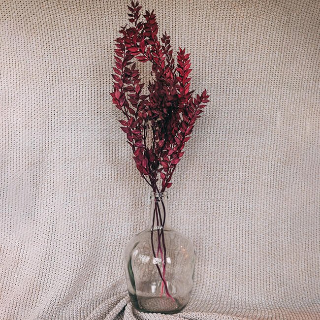 Ruscus_Burgundy.jpg