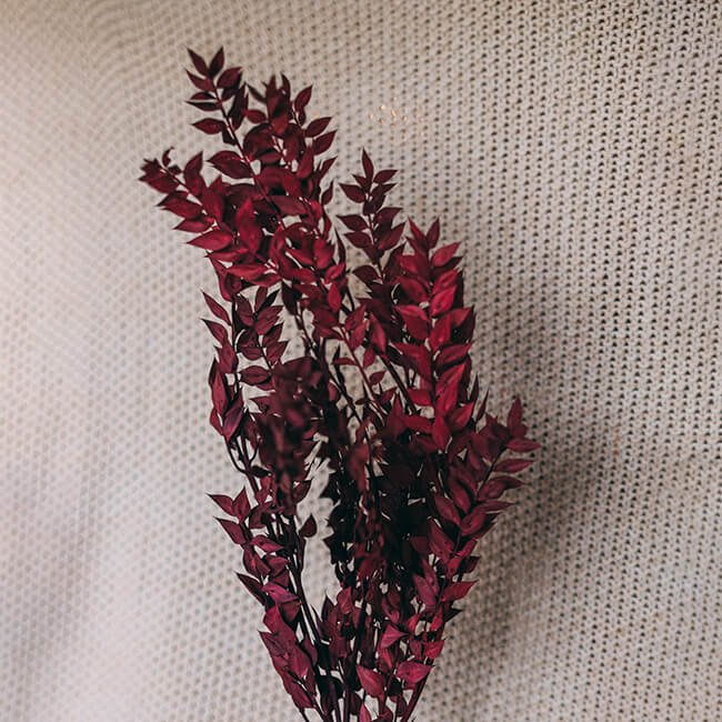Ruscus_Burgundy_Vancouver.jpg