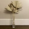 Sage Green Palm Suns Florist Supplies Sage Green Palm Suns Florist Supplies