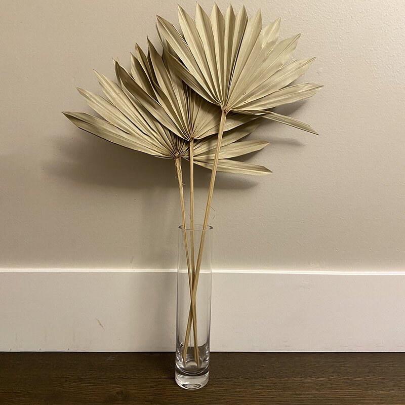 Sage Green Palm Suns Florist Supplies Sage Green Palm Suns Florist Supplies