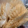 Sage Green Palm Suns Flower Delivery Canada Sage Green Palm Suns Flower Delivery Canada