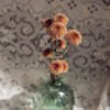 Salmon Peach Mums Pom Pom Florist Near Me