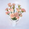 Terracotta Carnation Standard