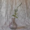 White Veronica Florist Near Me
