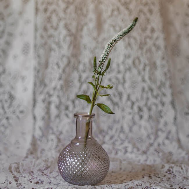 White Veronica Florist Near Me
