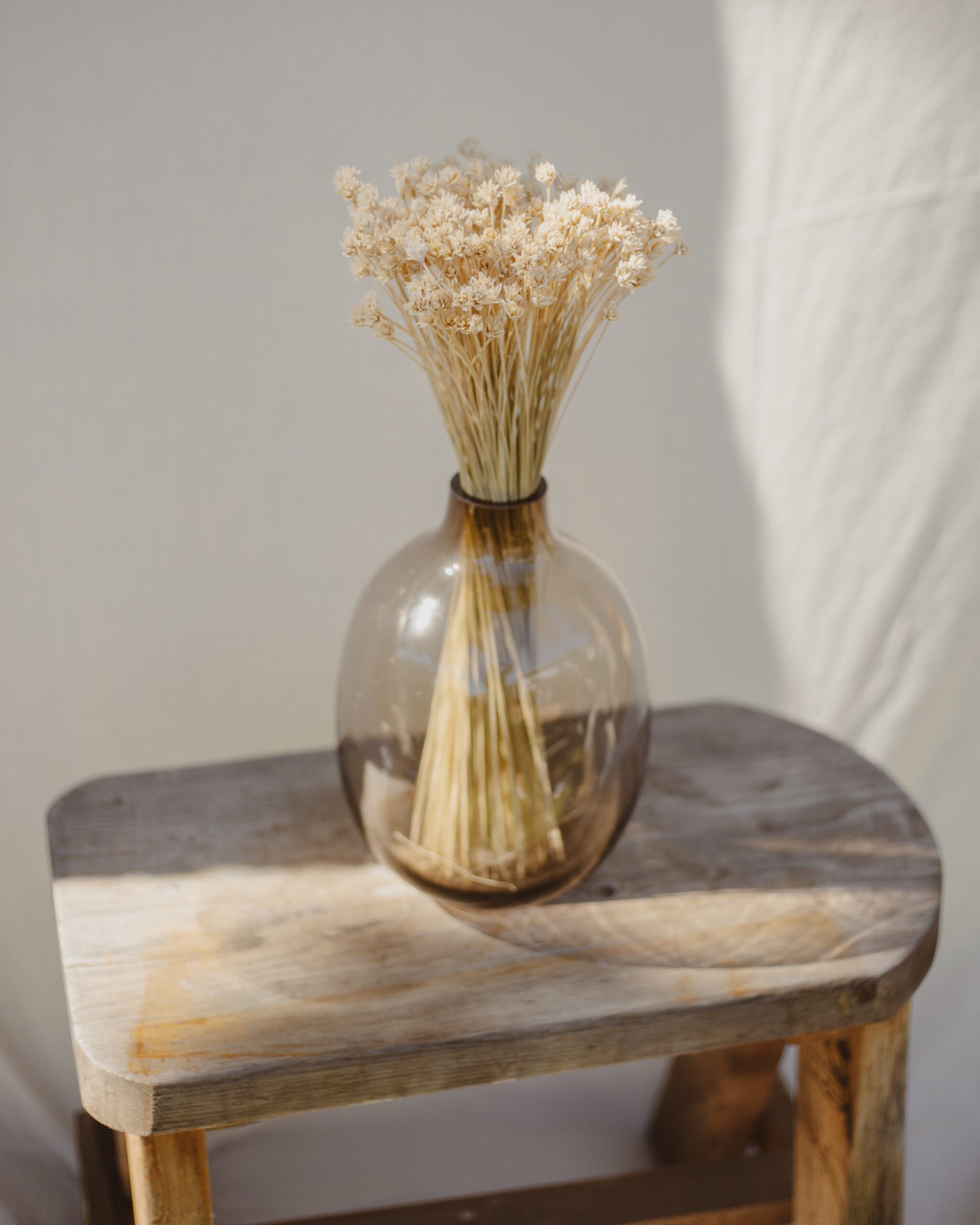 YouFloralWebsite 268 scaled 1 YouFloralWebsite 268 scaled 1