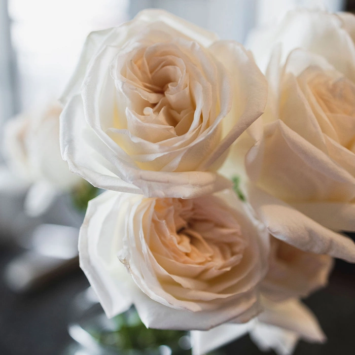 You Floral White Roses Garden3
