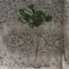 Salal
