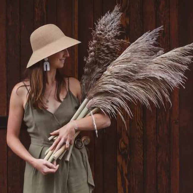 Pampas Grass FAQs How tall is pampas grass