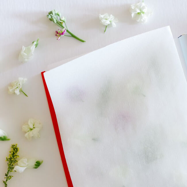 book with pressed flowers
